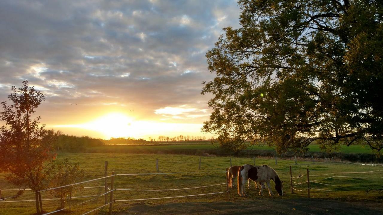 Appartement Im Stall "Lune River Ranch" Loxstedt Luaran gambar